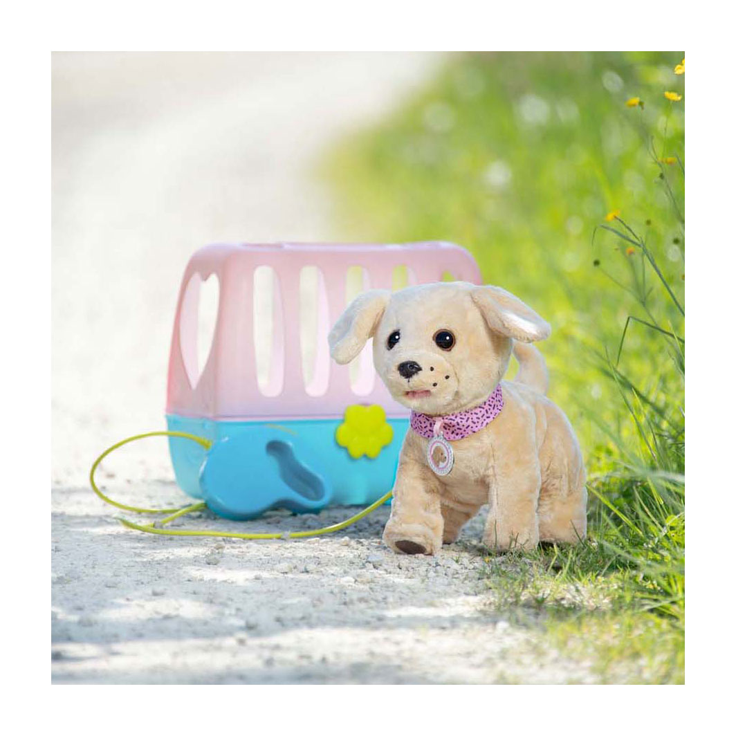 BABY born Kleine Puppy Lucky