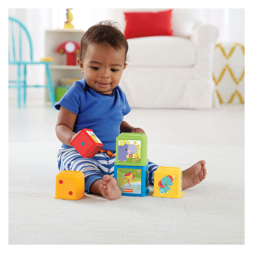 Blocs Stack & Discover Fisher Price , 5 pcs.