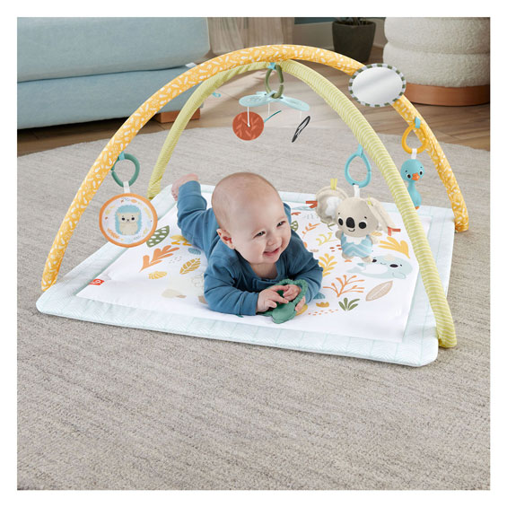 Fisher Price Simply Senses Babygym