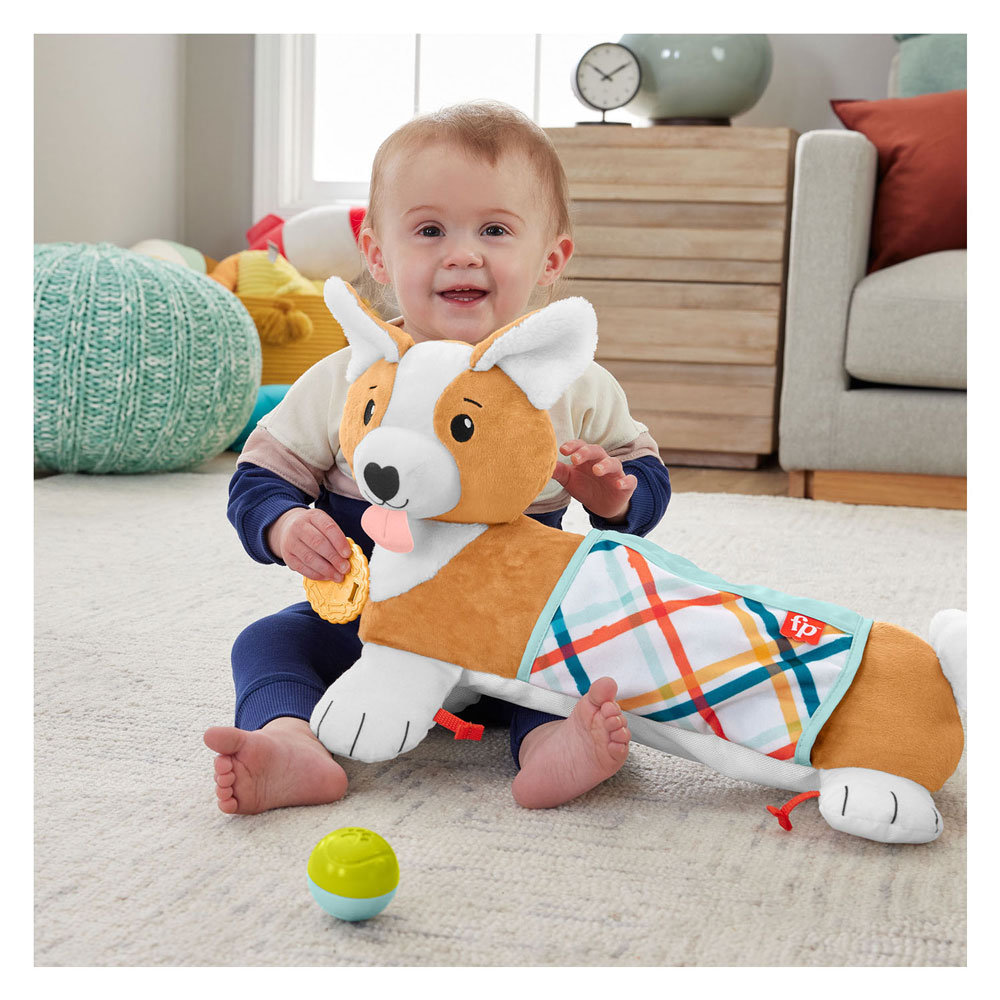 Fisher Price 3in1 Puppy Buikligtrainer
