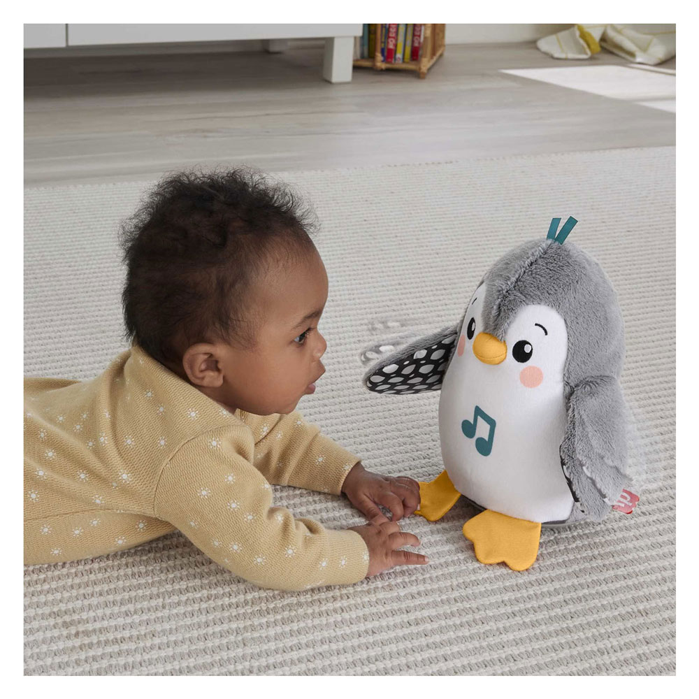 Fisher Price Wapper en Wiebel Pinguin