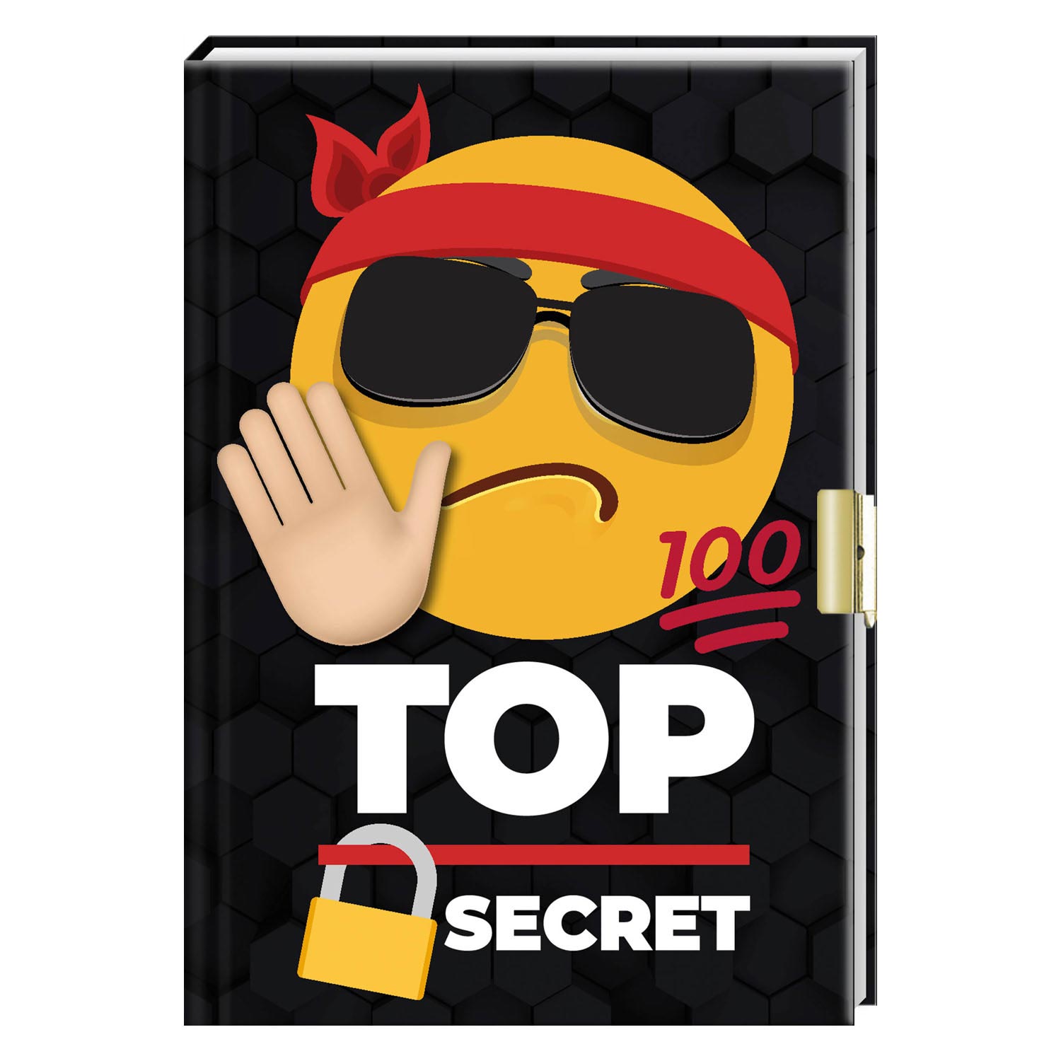 Dagboek met Top Secret online kopen? |
