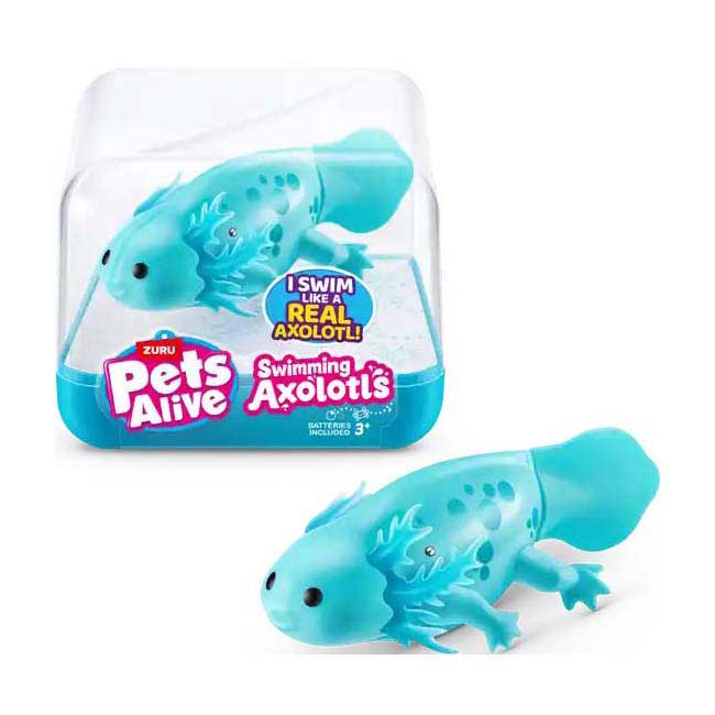 Animaux vivants Axolotl nageur