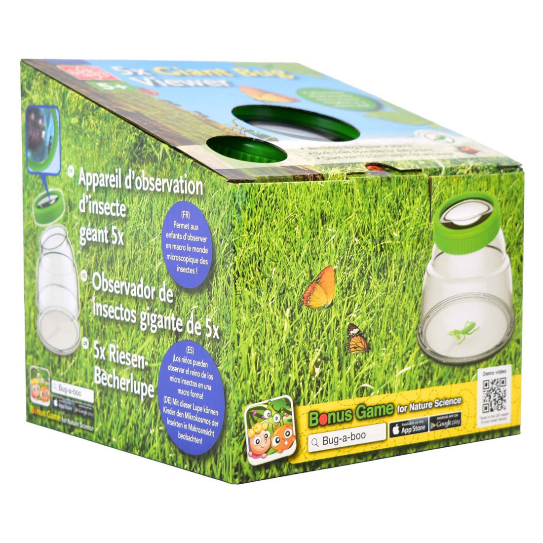 Edu Science Große Insekten-Viewer Edu Science Große Insekten-Viewer