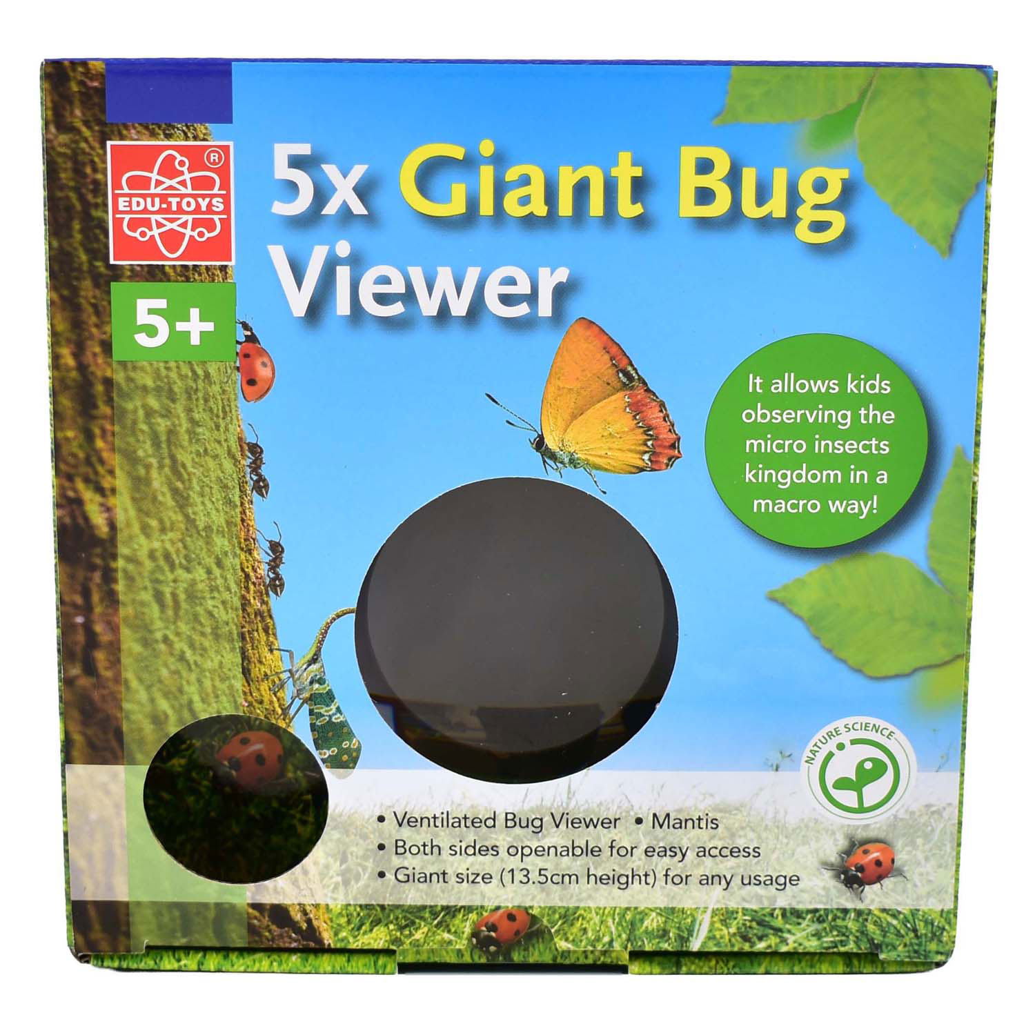 Edu Science Große Insekten-Viewer Edu Science Große Insekten-Viewer