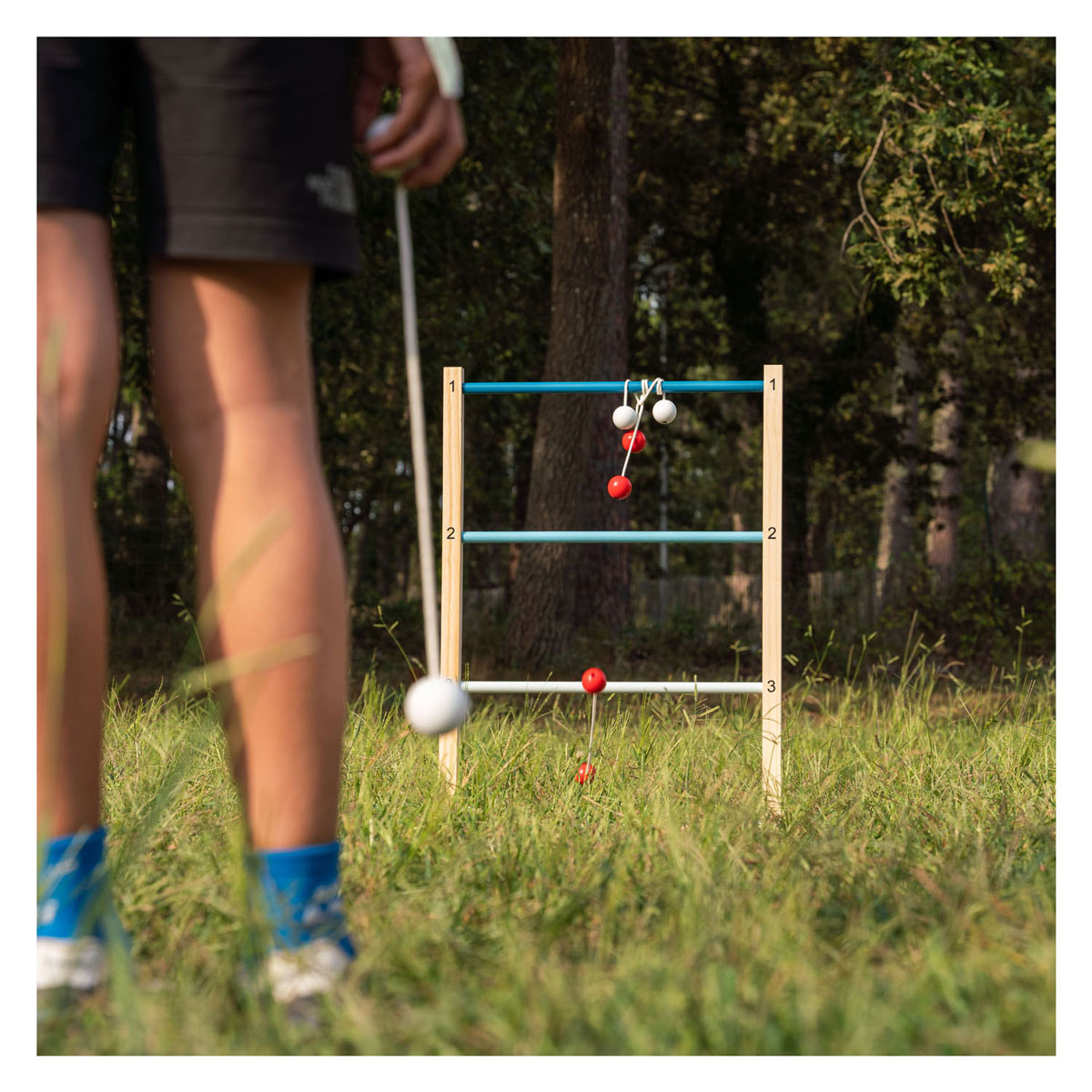 BS Toys Disc Doel en Ladderspel 2-in-1