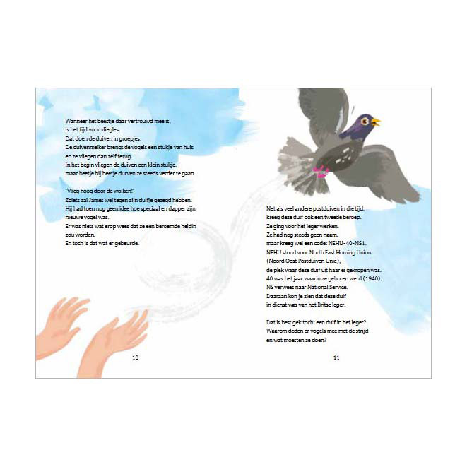 Winkie, de stoere postduif