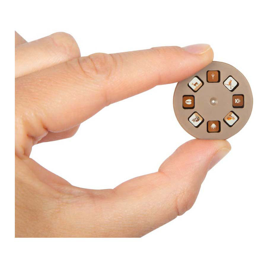 Small Foot - Zaklamp en Projector 