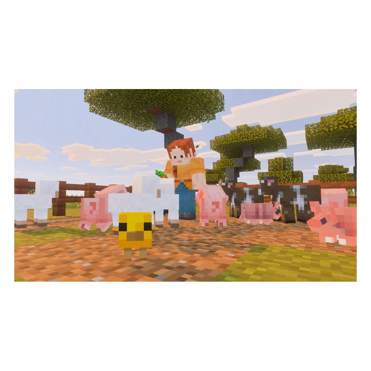 Nintendo Switch 2 Minecraft - NL