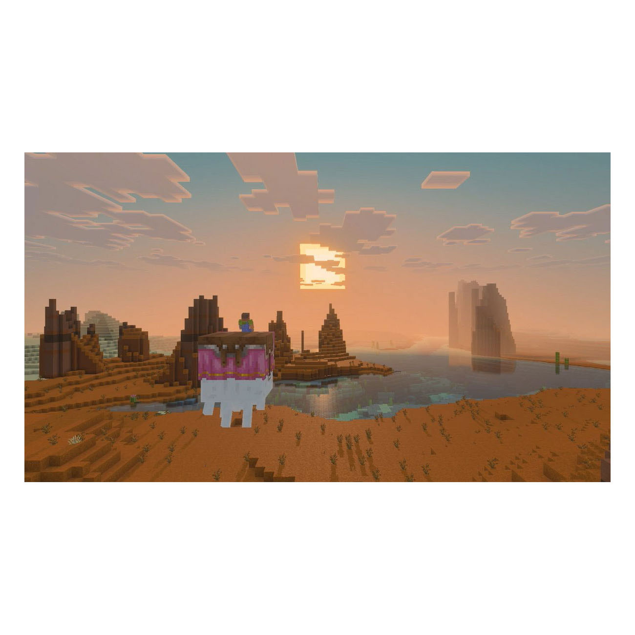 Nintendo Switch 2 Minecraft - NL