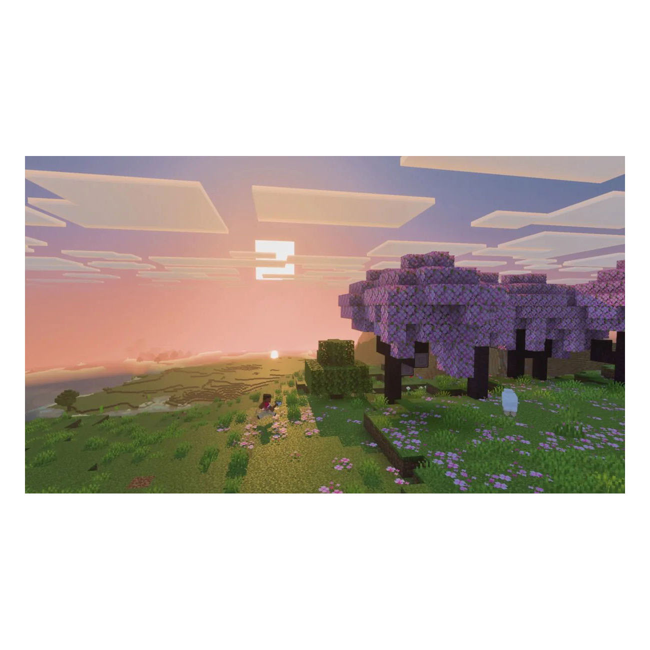 Nintendo Switch 2 Minecraft - NL