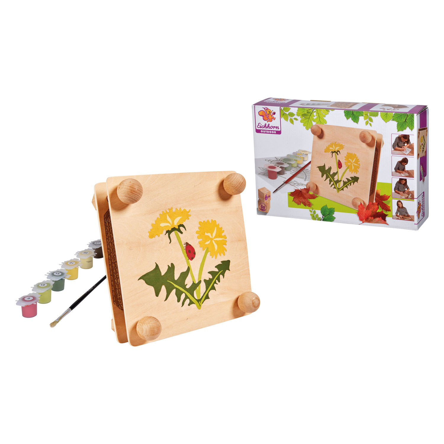 Eichhorn Outdoor Feuilles et presse à fleurs Craft Kit