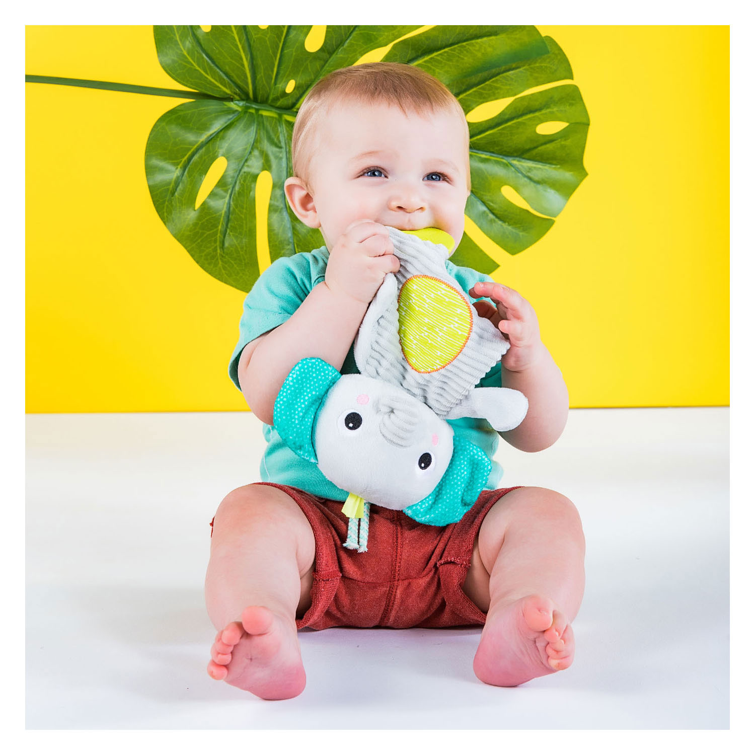 Snuggle & Teethe Pluche Knuffel met Bijtring - Olifant