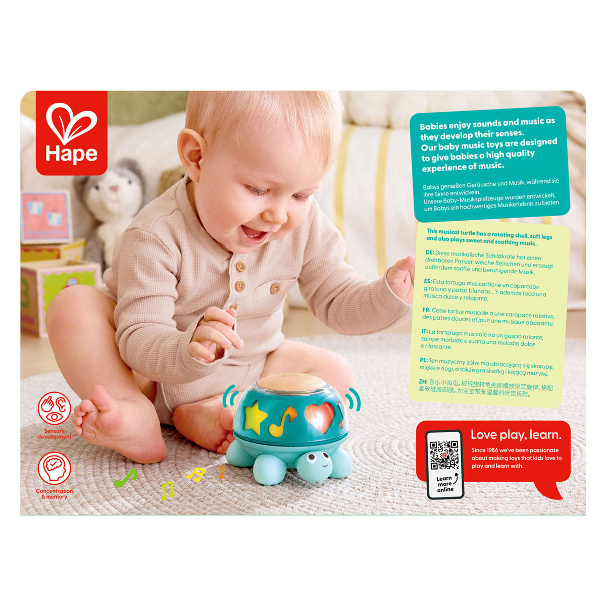 Hape Twist & Tune Turtle Muziekdoosje