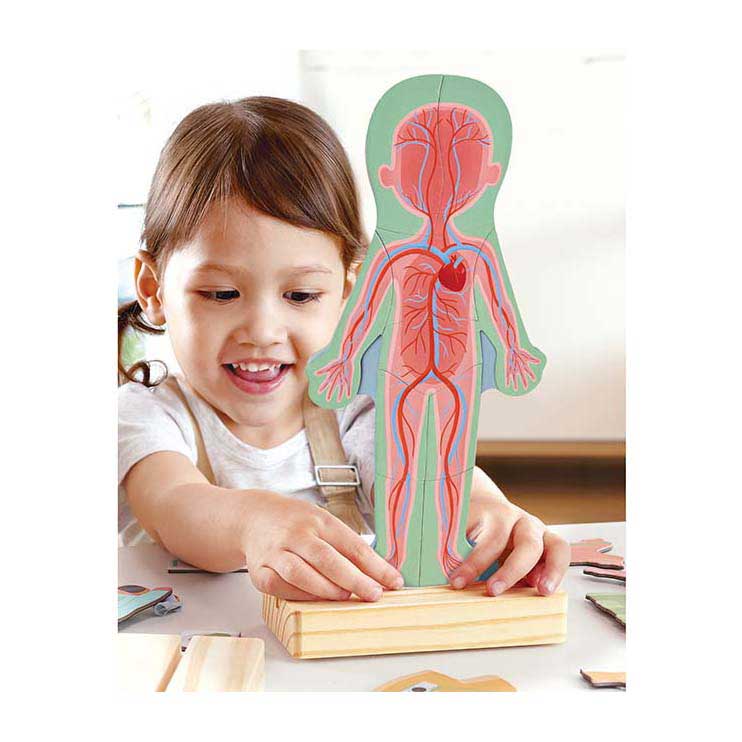 Hape Menselijk Lichaam Magnetische Puzzel - 63dlg.