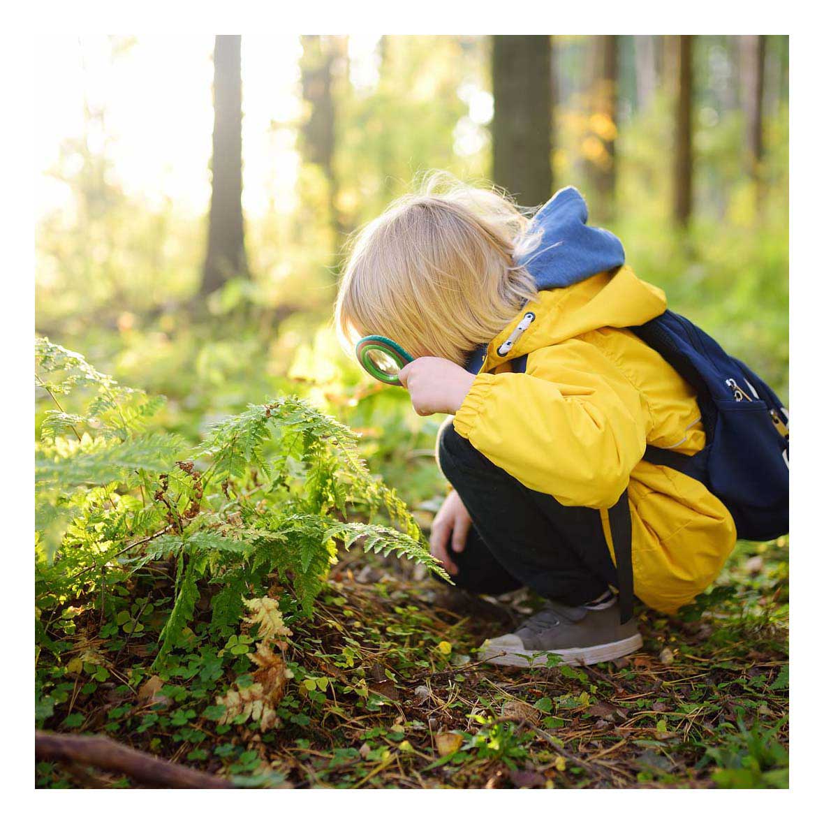 Hape Bamboe Natuur Speurdersset