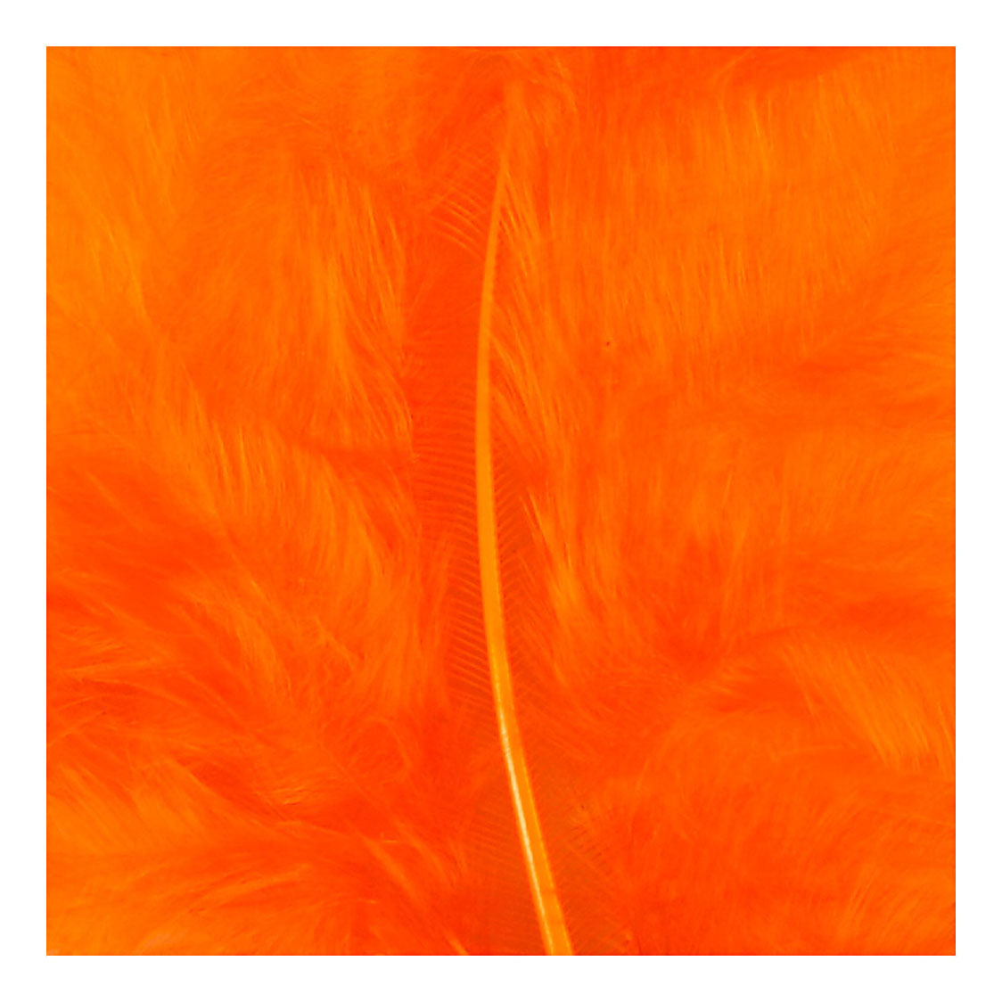 Daunen Orange 5-12 cm, 15 Stk.