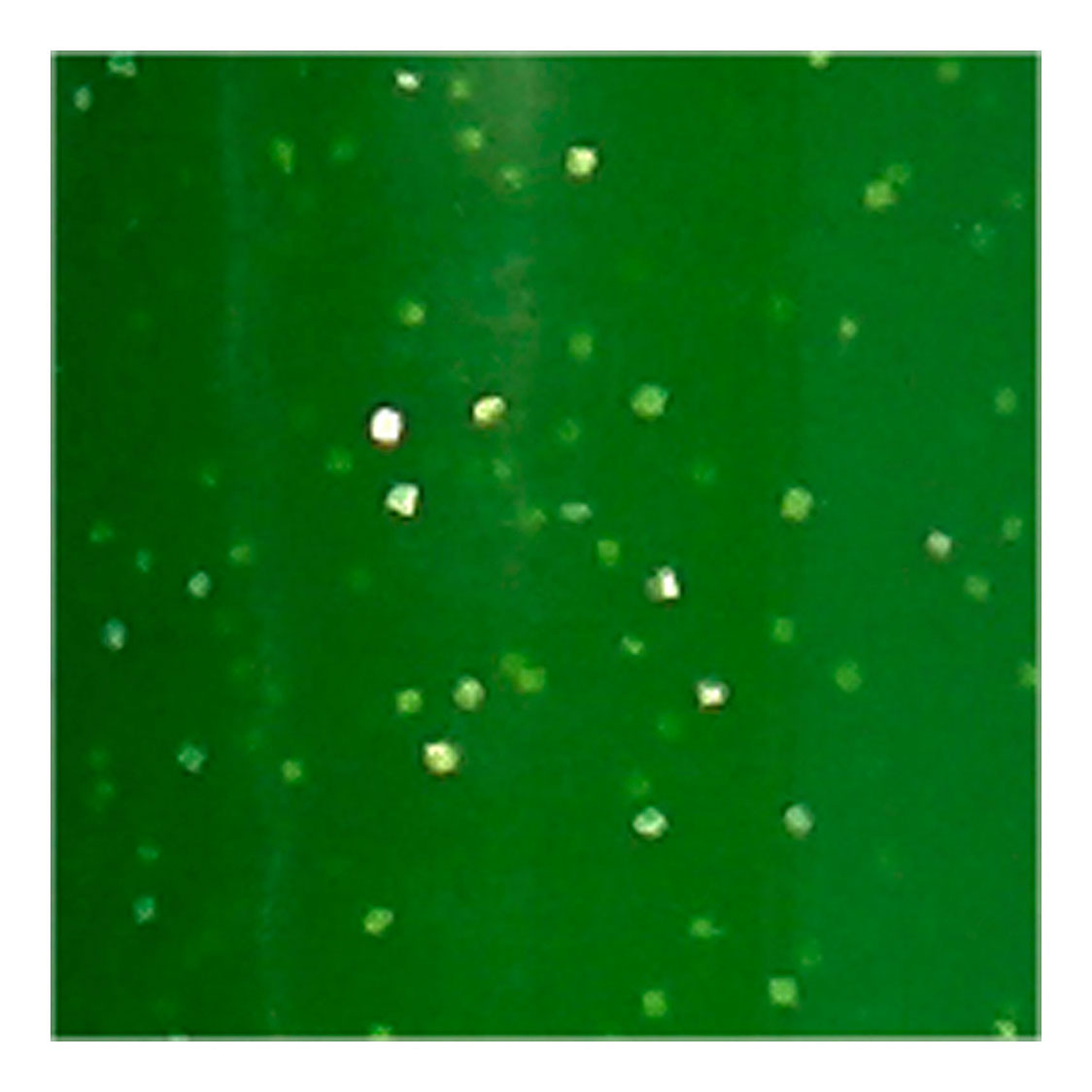 Stylo Verre et Porcelaine Glitter Semi-Opaque - Vert Clair