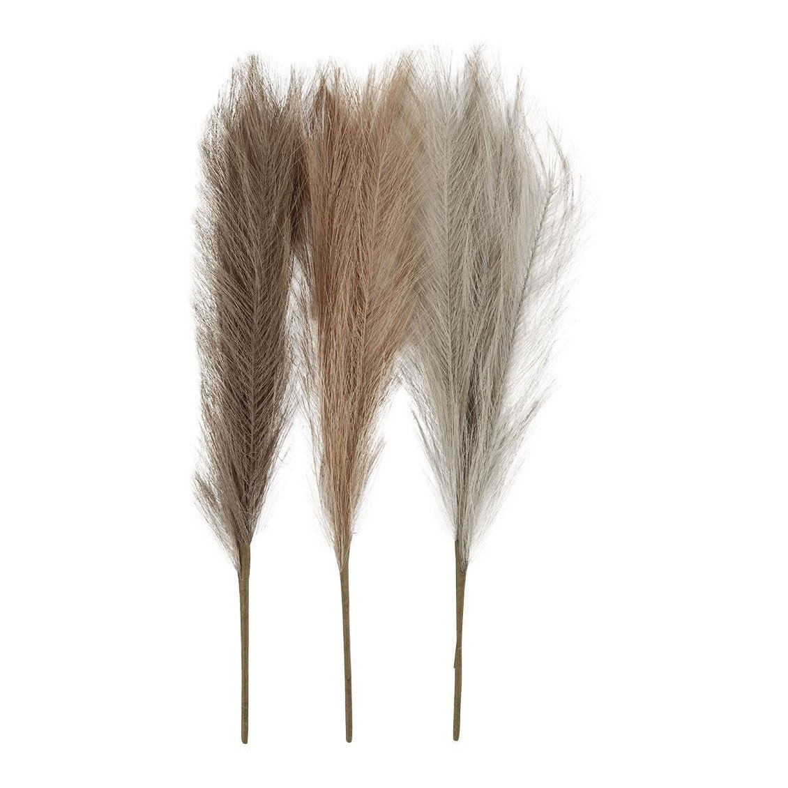 Herbe de la Pampa Beige/Marron/Gris, 3 pcs.