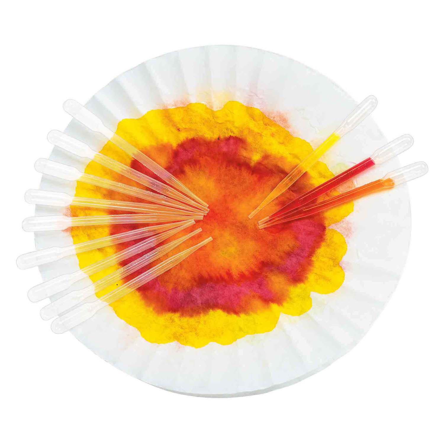 Colorations - Druppelaars 15cm, 12st.