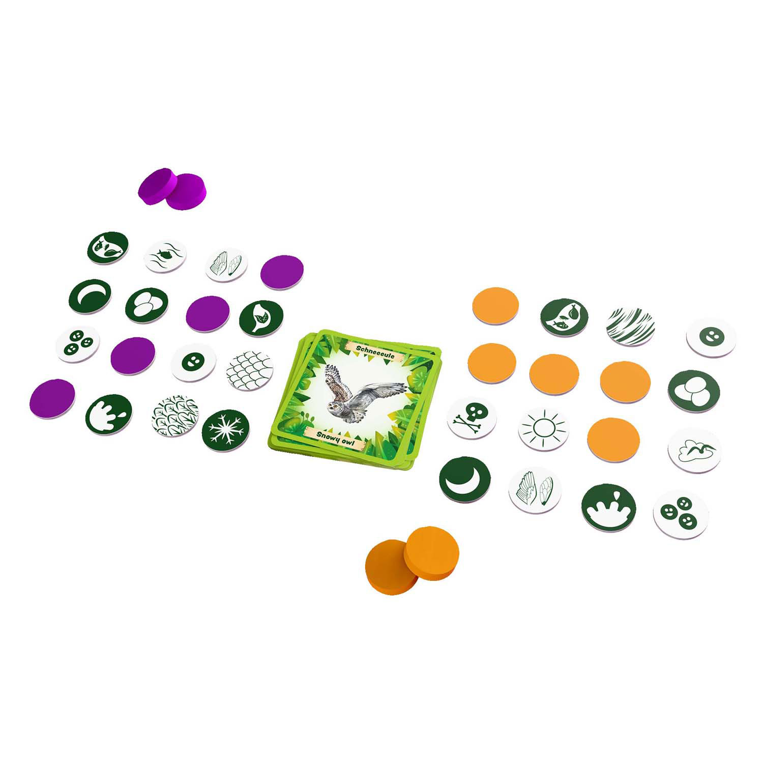Haba Spiel - Tiere rund um die Welt - Lern-Bingo-Spiel für 2-4 Spieler