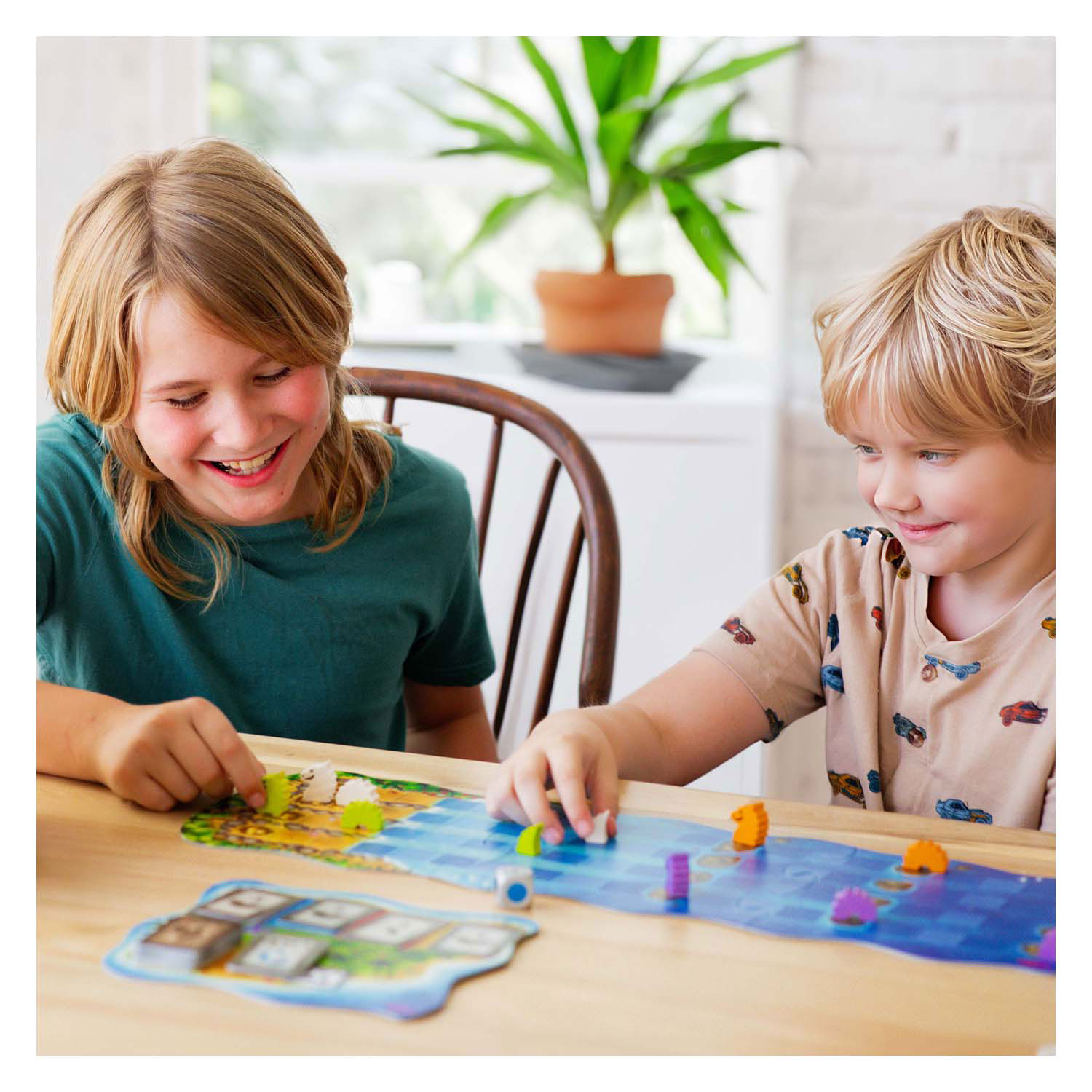 Haba Wasserdrachen Brettspiel