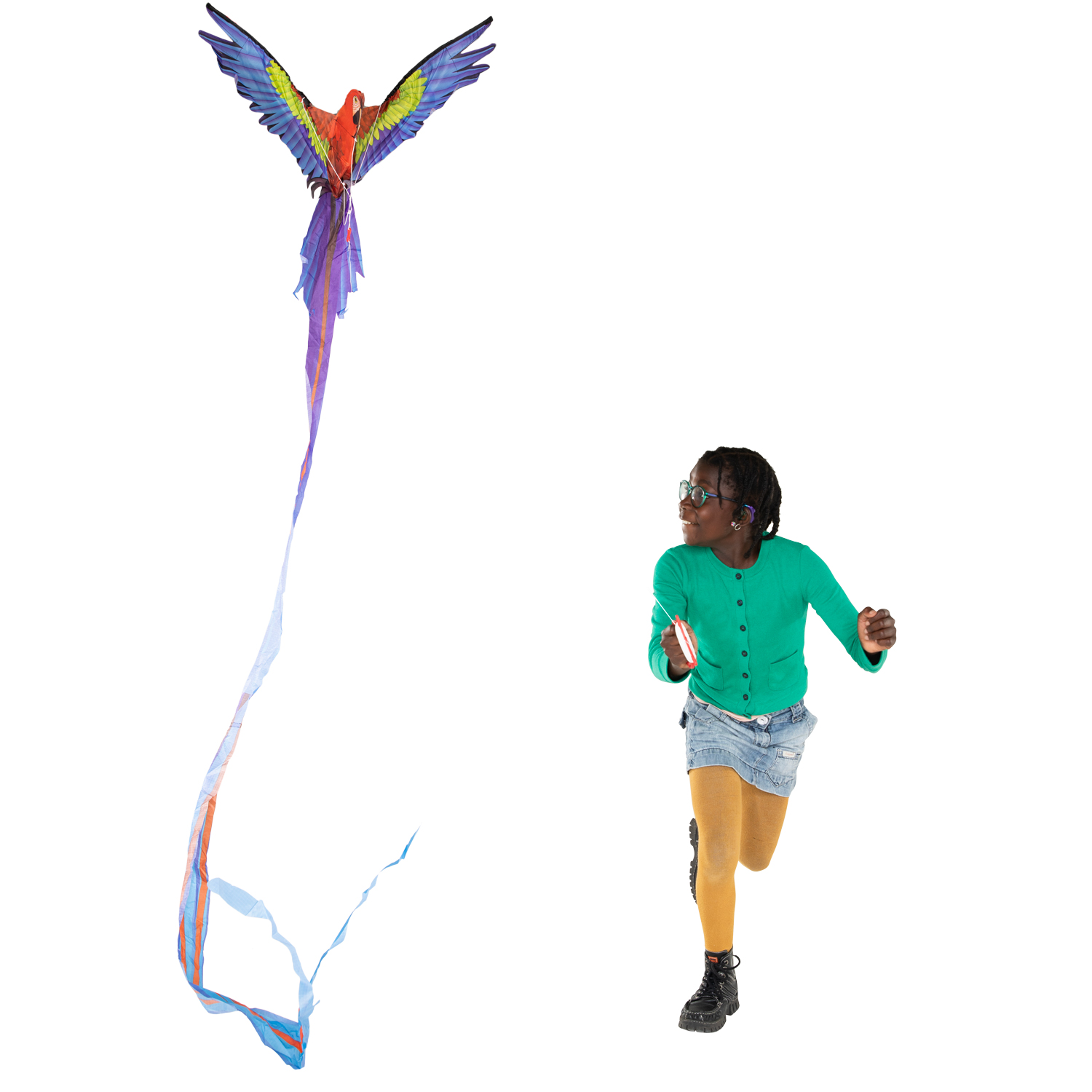 Kites Ready 2 Fly – Pop-up-3D-Drachenpapagei