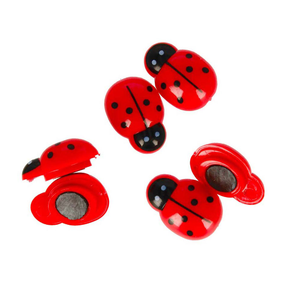 Magnete Marienkäfer, 6 Stk.