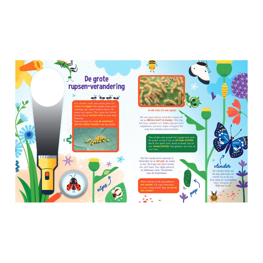 Speuren naar vlinders