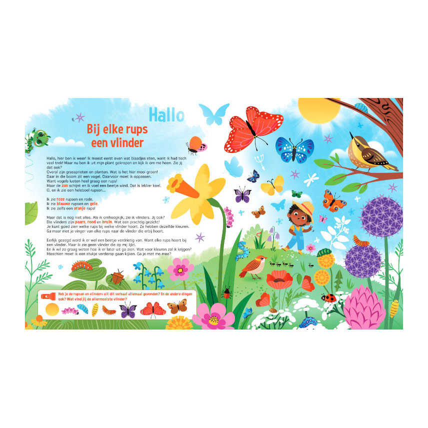 Speuren naar vlinders