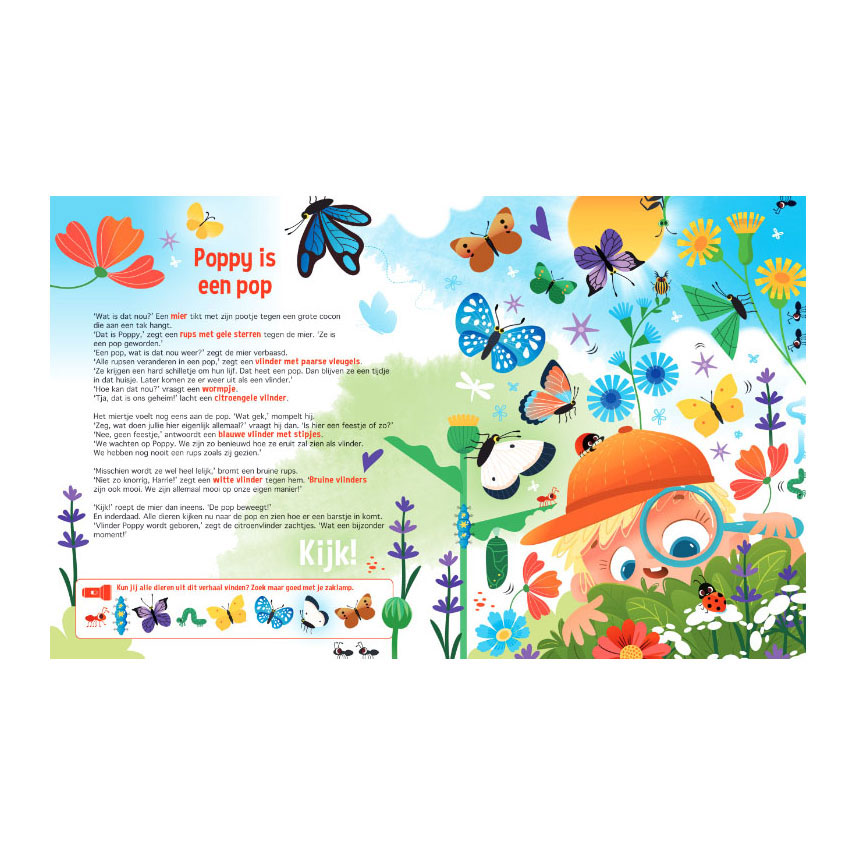 Speuren naar vlinders