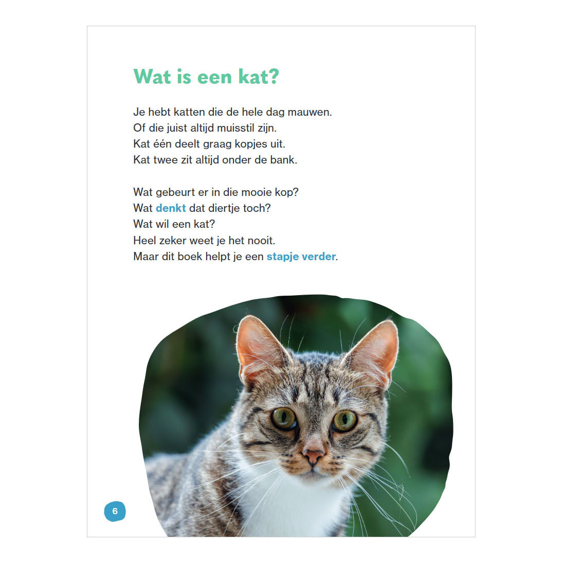 Dat is een kat - AVI E3