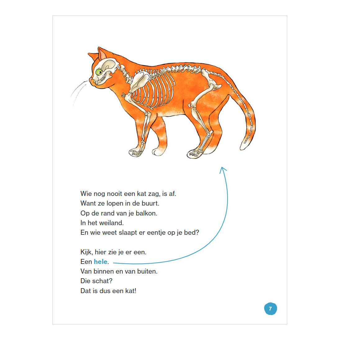 Dat is een kat - AVI E3