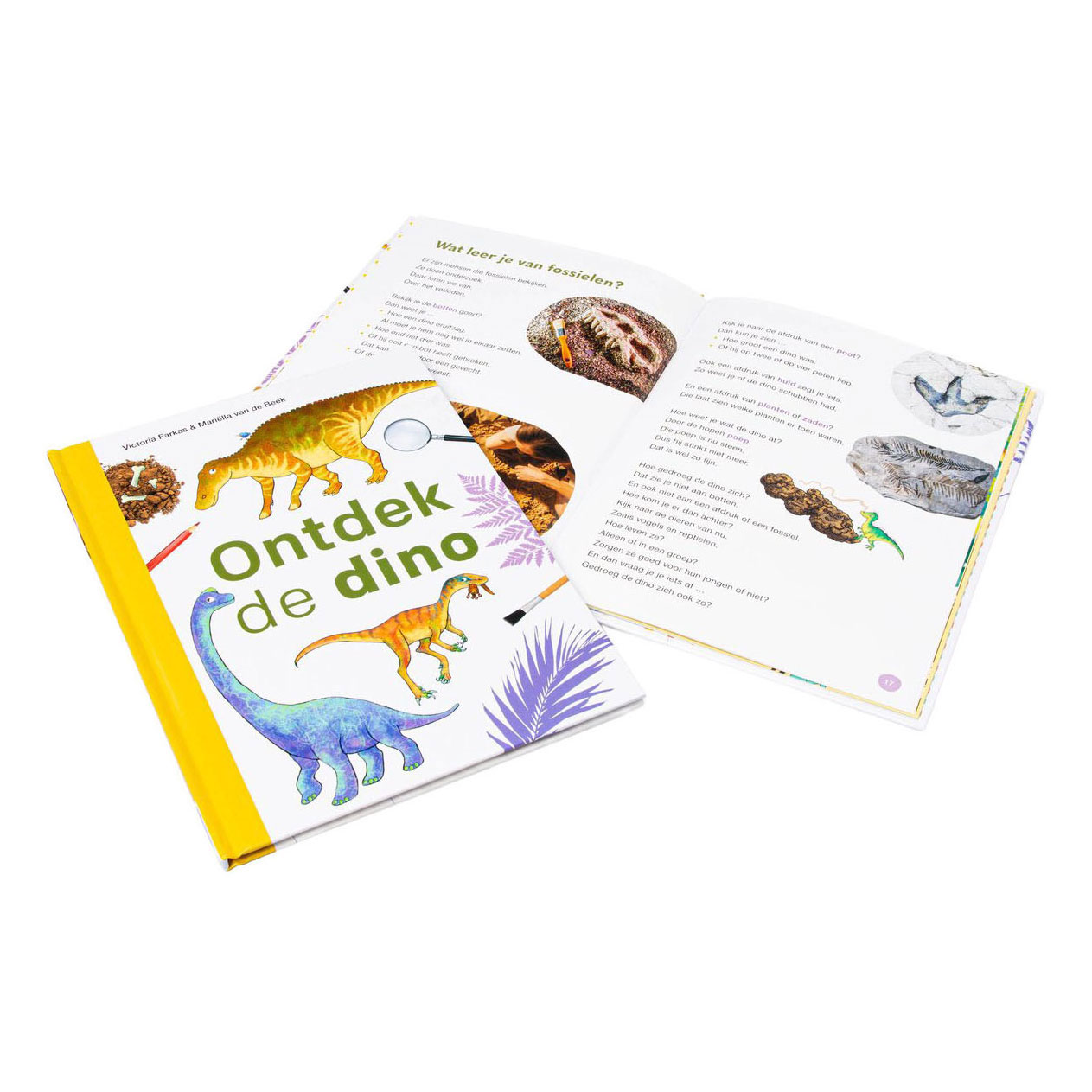 Ontdek de dino - AVI M4
