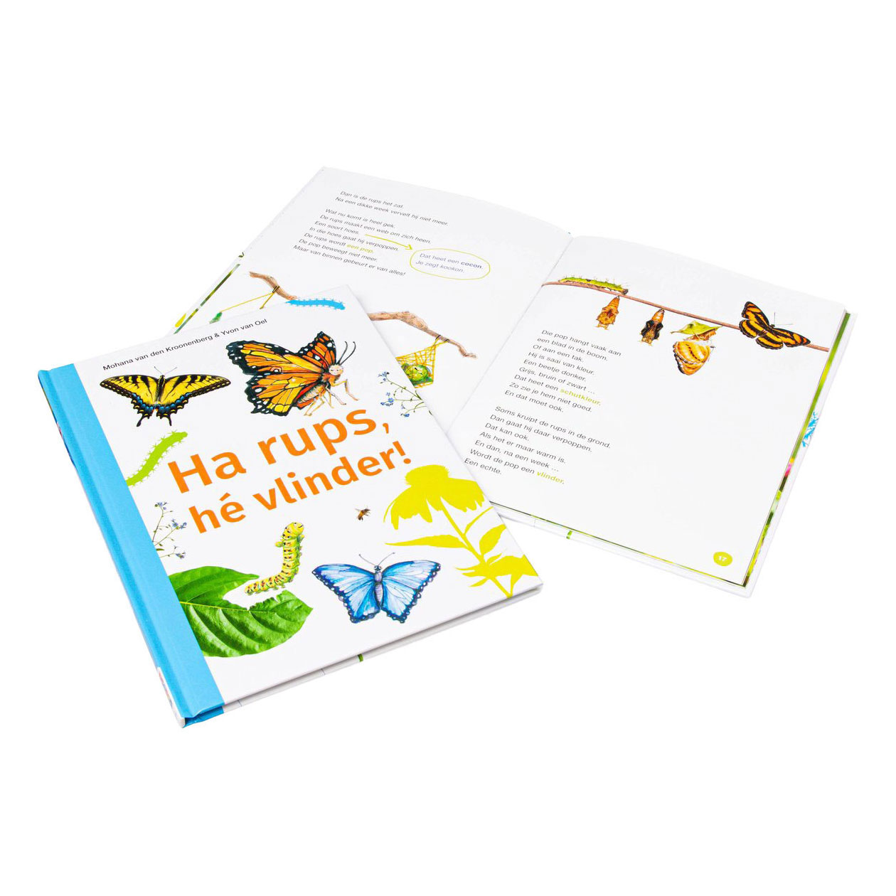 Ha rups, hé vlinder! - AVI M4