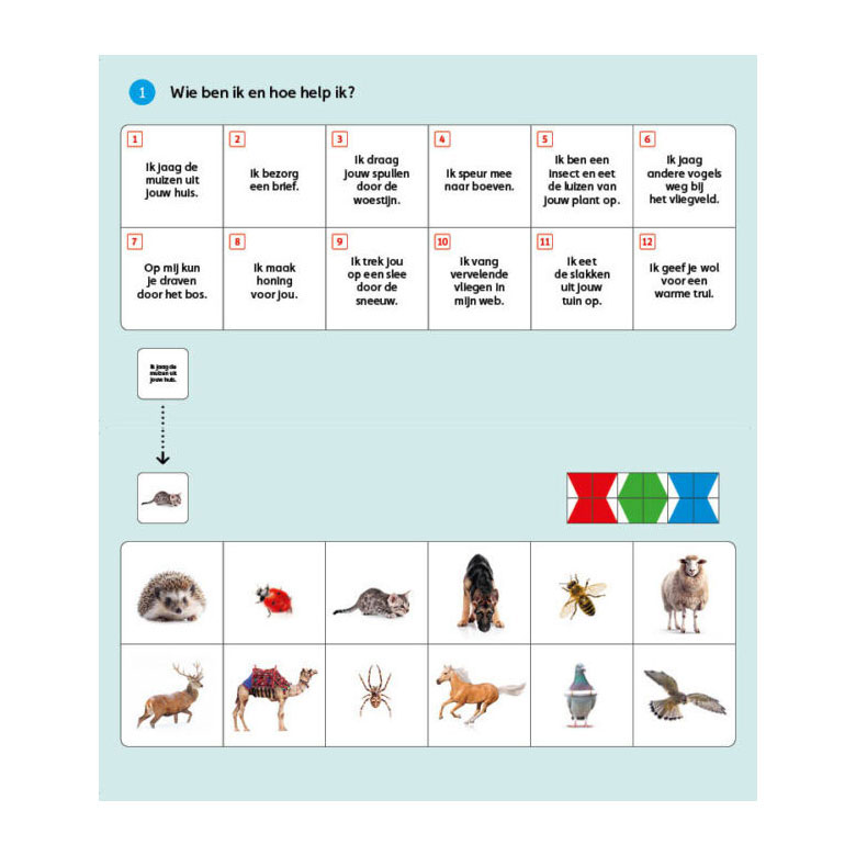 Loco Mini Pakket Code D Groep 4 - 8 Titels