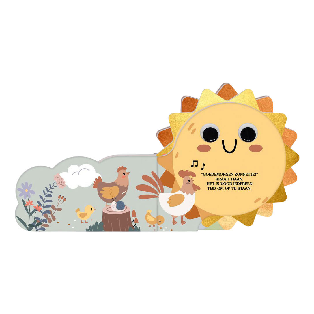 Goedemorgen Zonnetje Kartonboekje