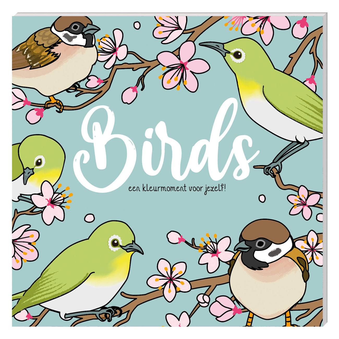 Livre de coloriage - Oiseaux (Nouveau)