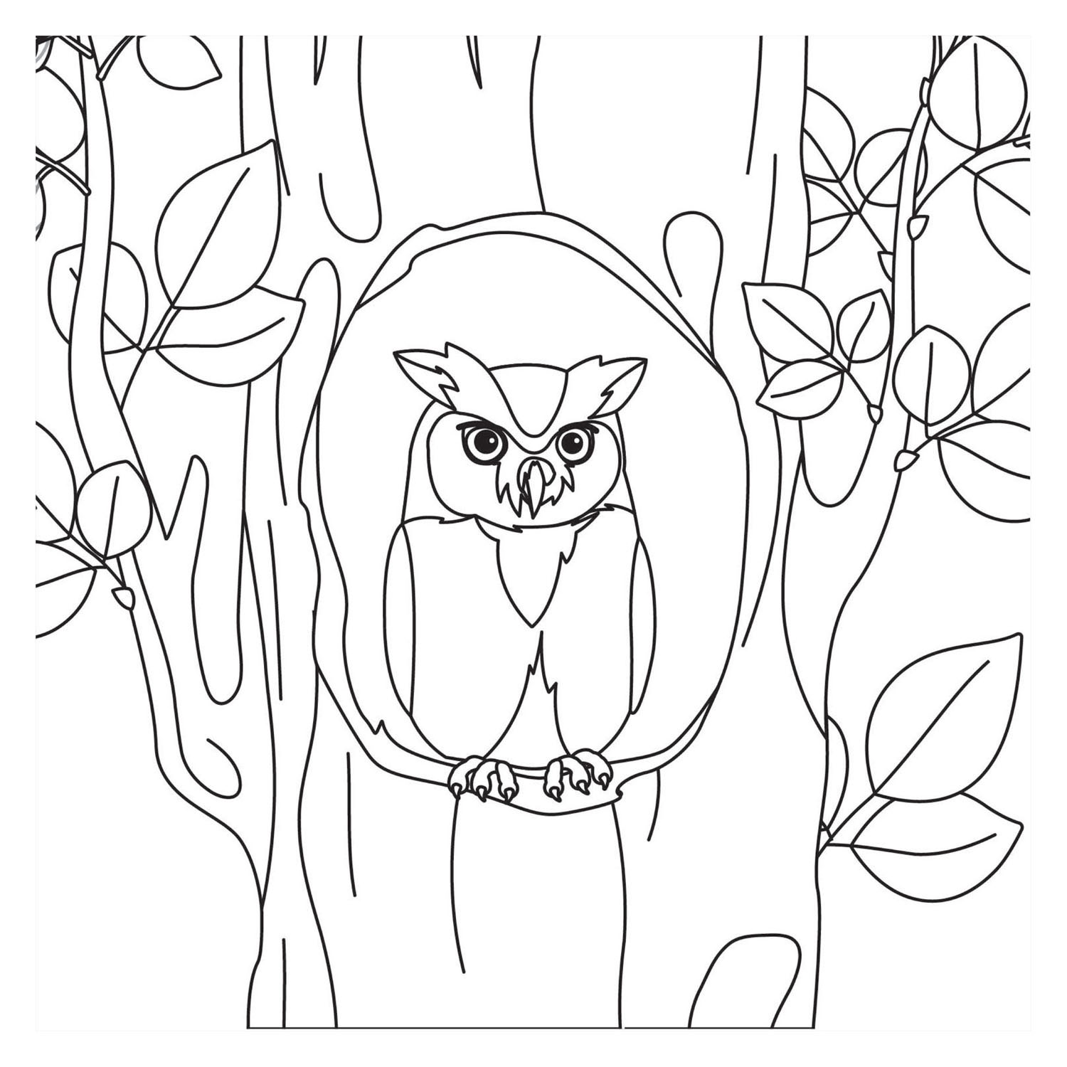 Livre de coloriage - Oiseaux (Nouveau)