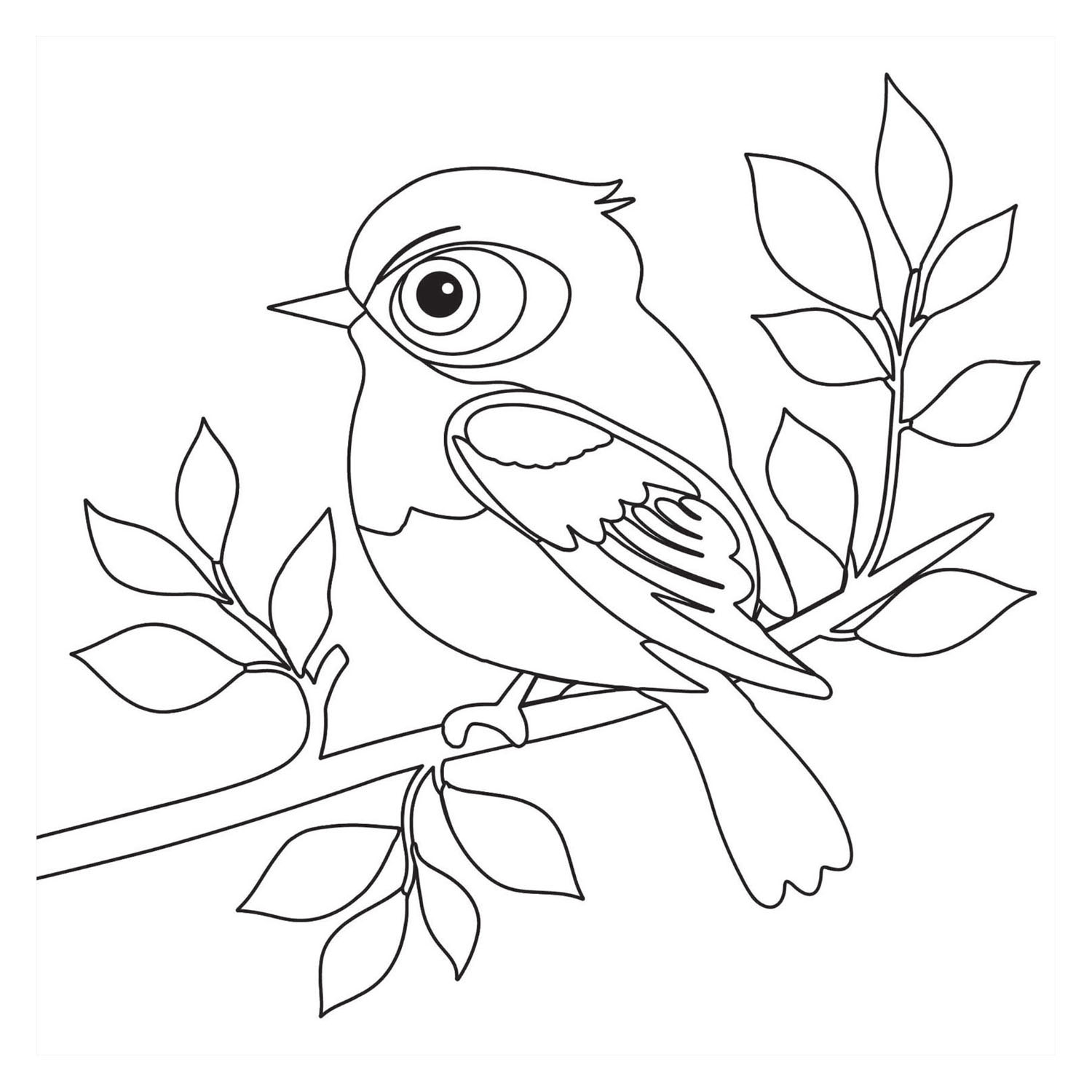 Livre de coloriage - Oiseaux (Nouveau)