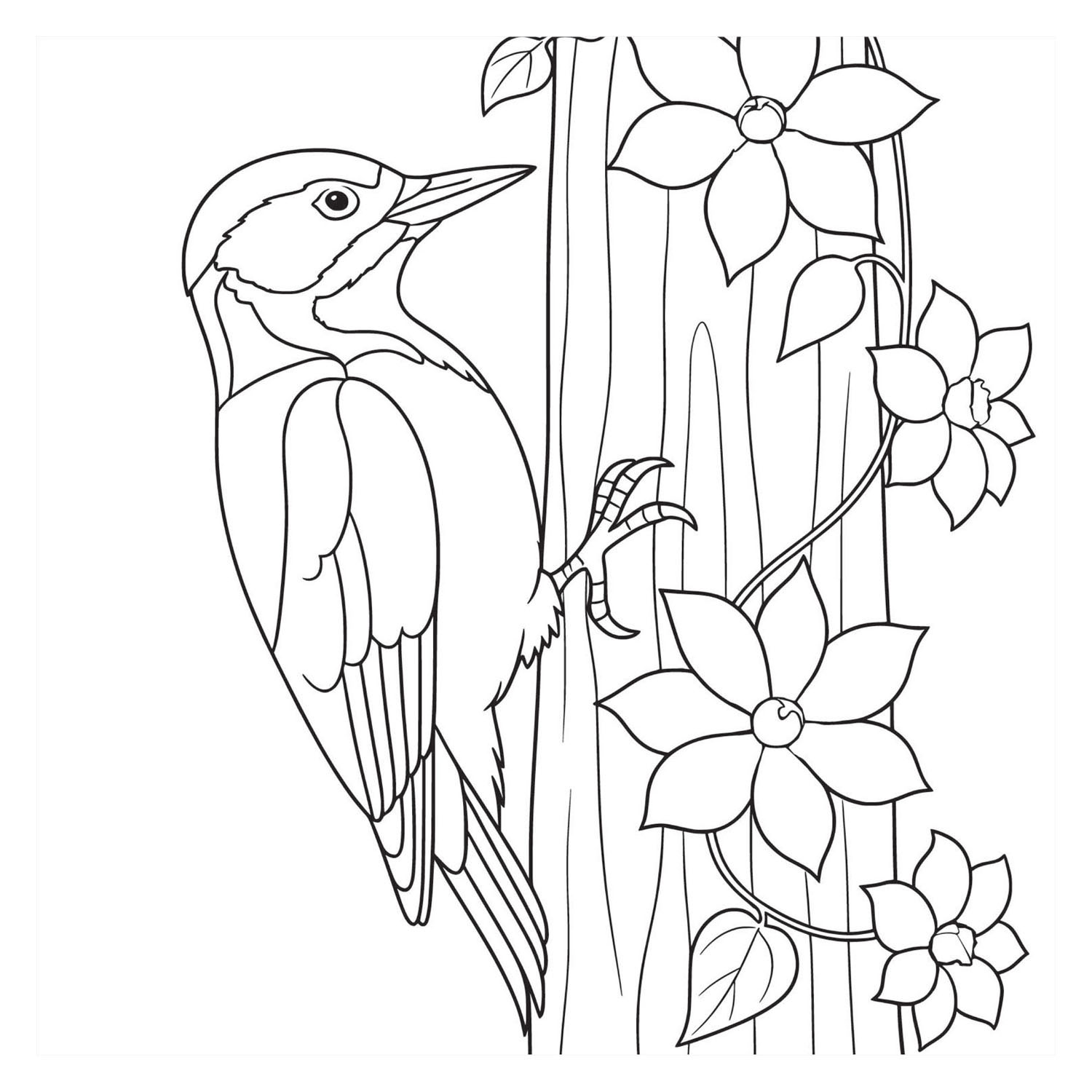 Livre de coloriage - Oiseaux (Nouveau)