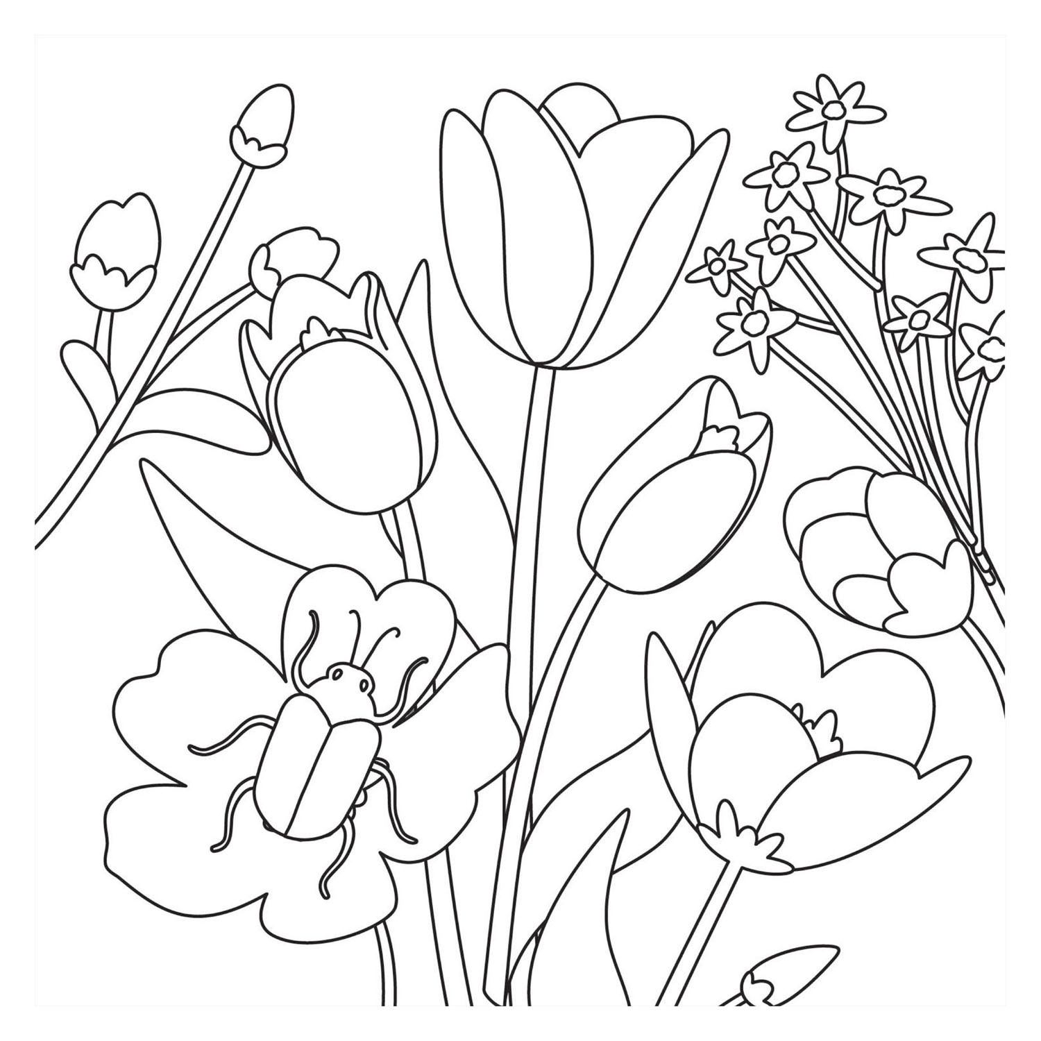 Malbuch - Bloom New