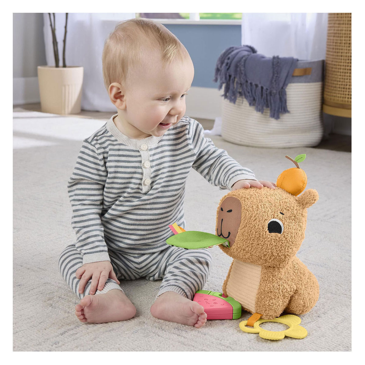 Fisher Price Snuggly Snacky Capibara