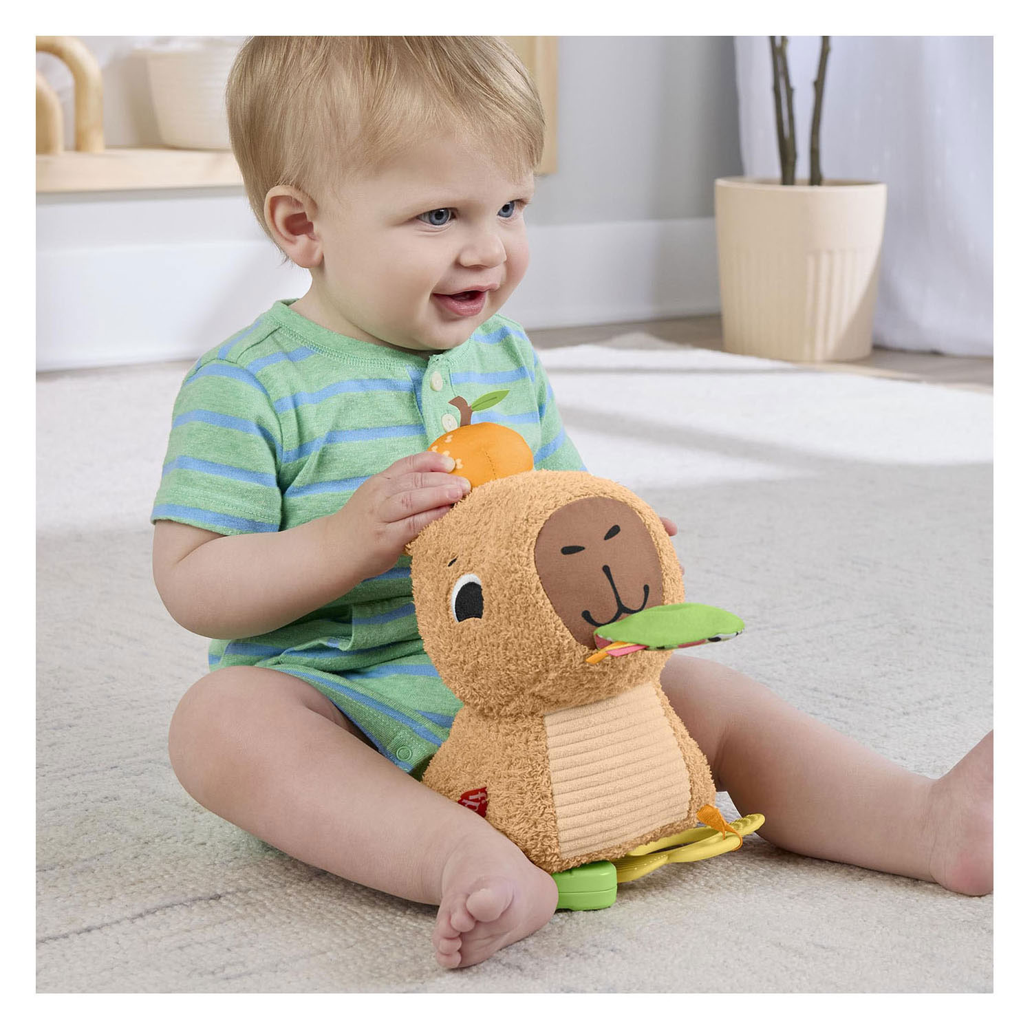 Fisher Price Snuggly Snacky Capibara