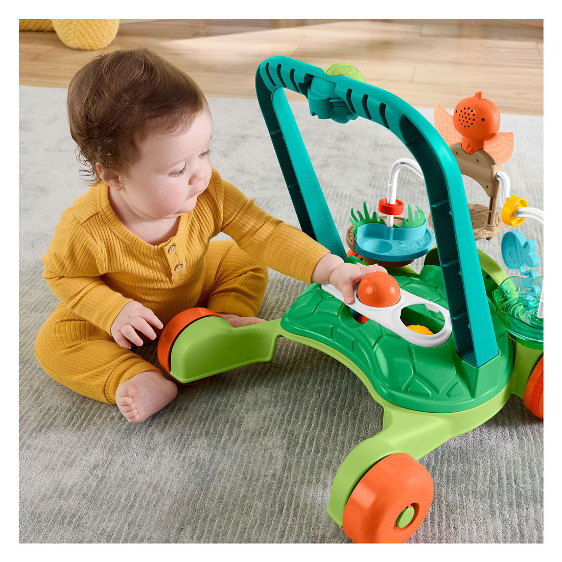 Fisher Price Schildpad Loopwagentje