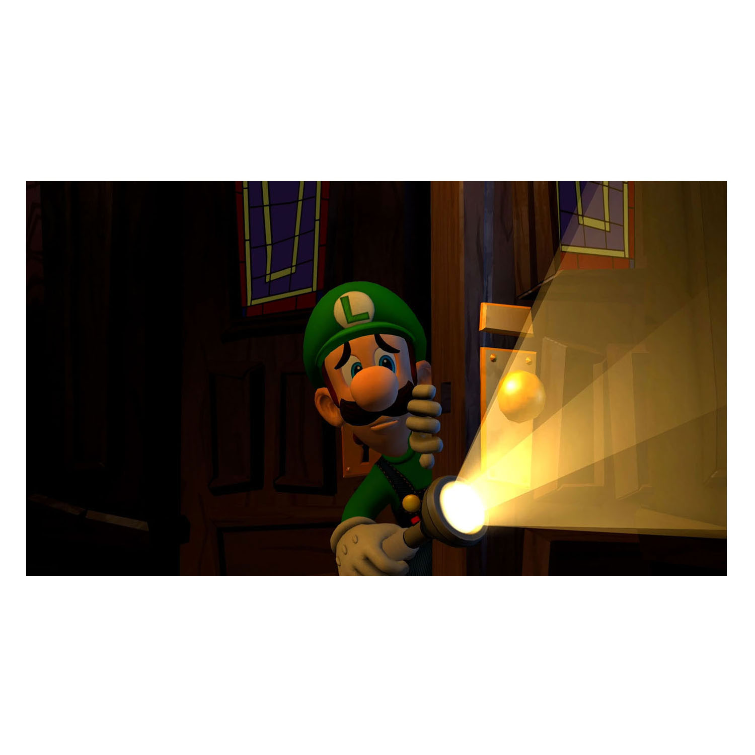 Nintendo Switch Luigi's Mansion 2 HD