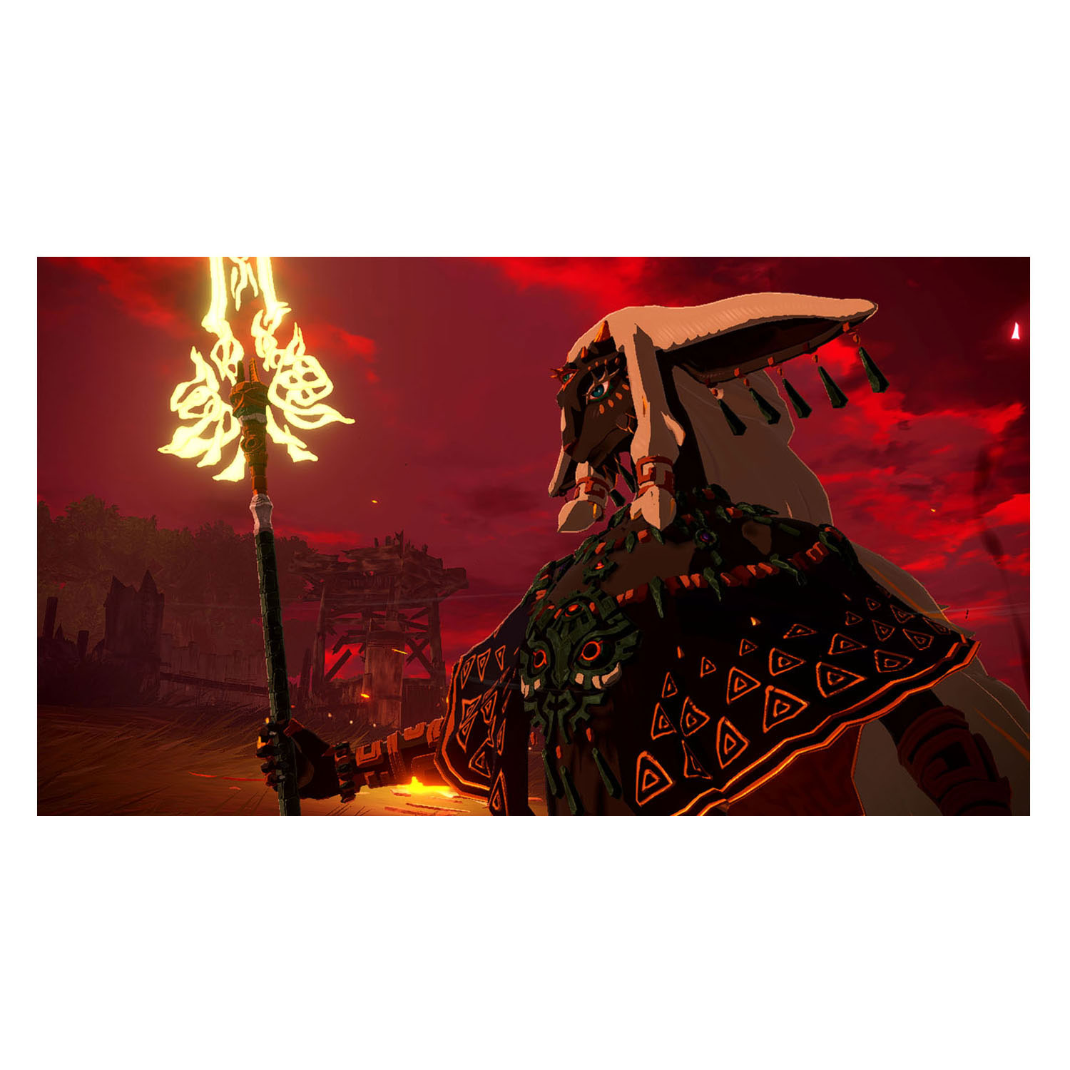 Nintendo Switch 2 Hyrule Warriors: Age of Imprisonment