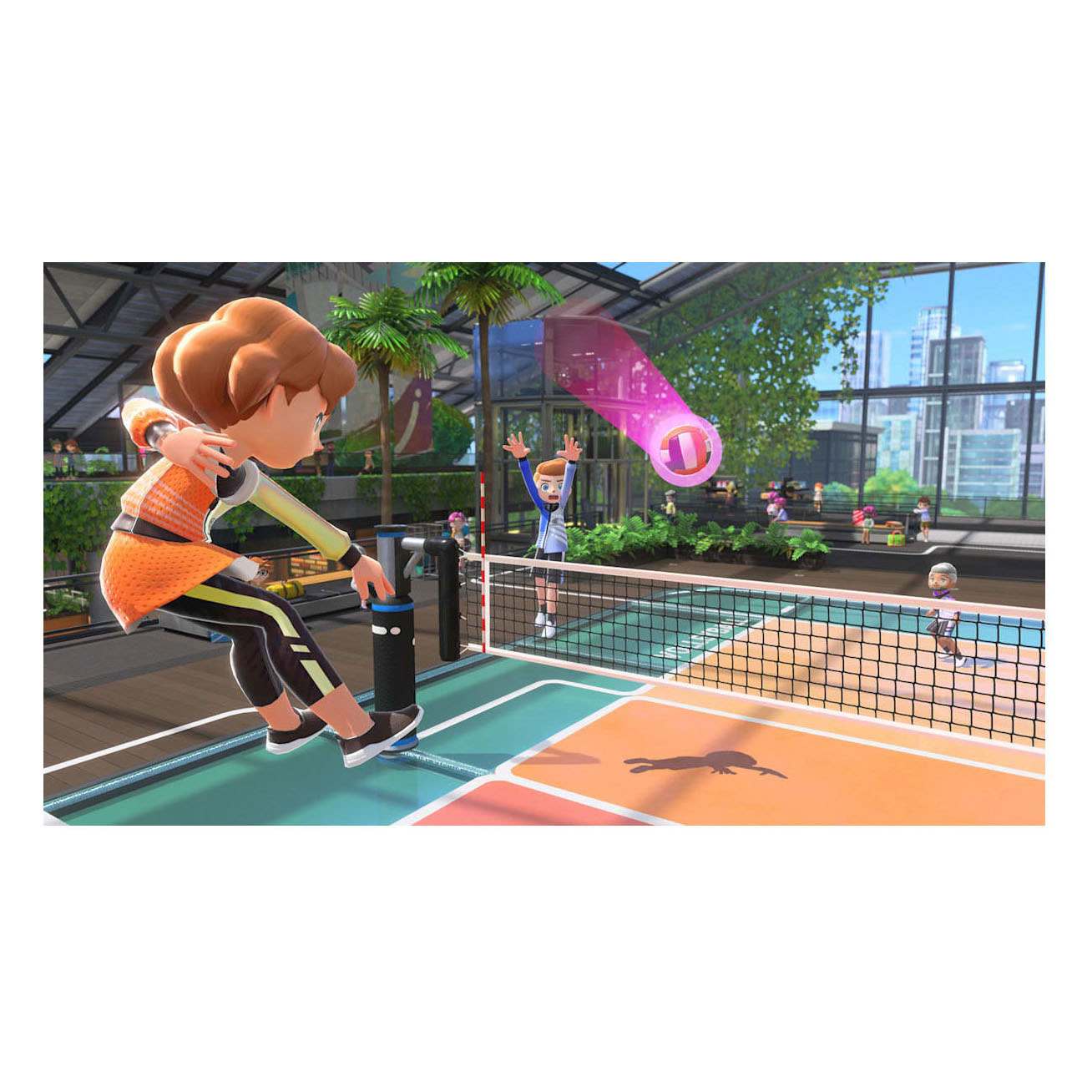 Nintendo Switch Nintendo Switch Sports