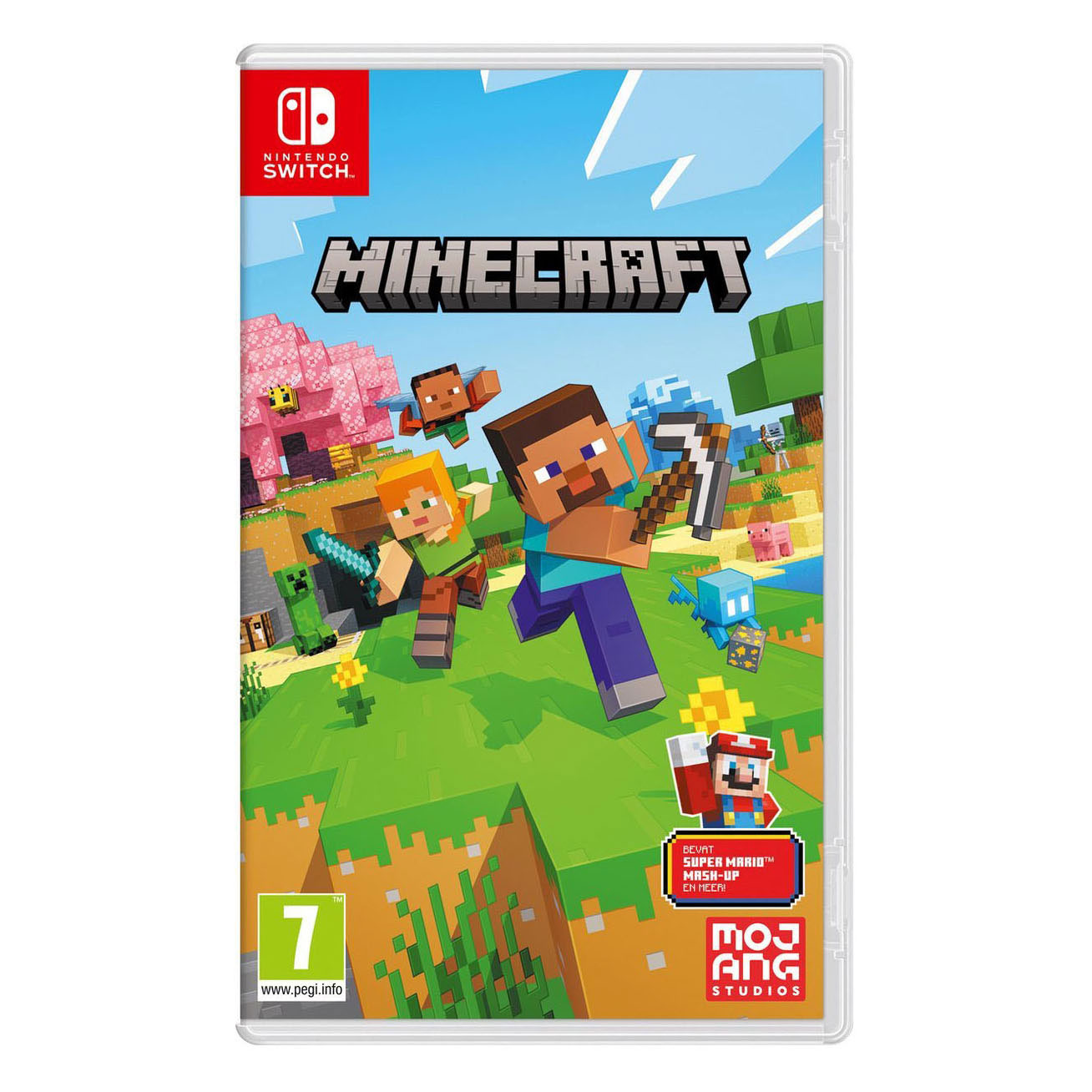 Nintendo Switch Minecraft