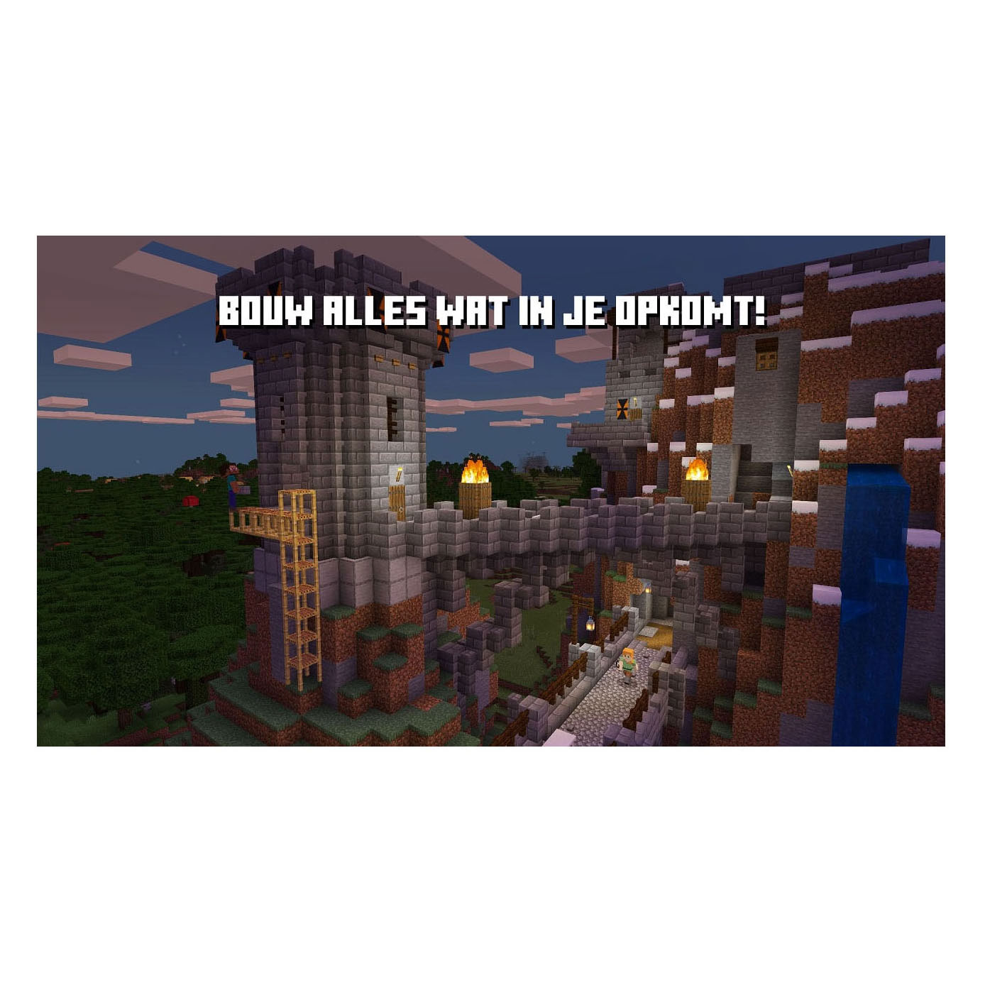 Nintendo Switch Minecraft
